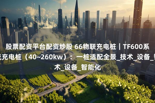 股票配资平台配资炒股 66物联充电桩｜TF600系列直流充电桩（40~260kw）：一桩适配全景_技术_设备_智能化