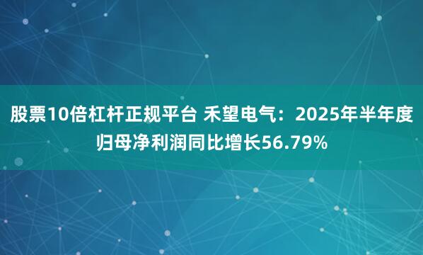 股票10倍杠杆正规平台 禾望电气：2025年半年度归母净利润同比增长56.79%